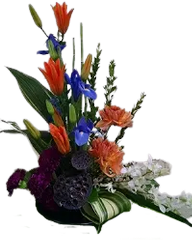 FJ Contemporary Tropical Flower Arrangement